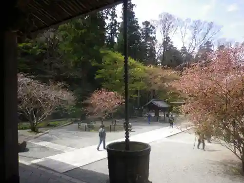 妙本寺の庭園