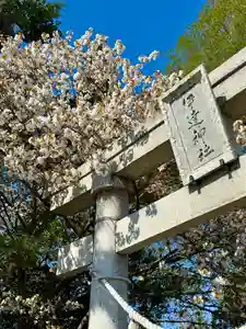 伊達神社(北海道)(2026年05月10日(日) 08時53分08秒投稿)