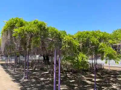 三学院(埼玉県)