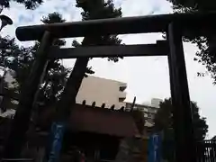 高円寺氷川神社の鳥居