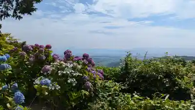 善峯寺(京都府)