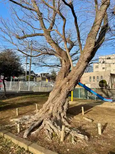 馬橋弁財天厳島神社の{uncategorized: "未分類", other: "その他", undefined: "問題あり", building: "その他建物", grave: "お墓", sacred_gate: "鳥居", guardian: "狛犬", statue: "像", buddha: "仏像", history: "歴史", nature: "自然", garden: "庭園", animal: "動物", pagoda: "塔", temizu: "手水舎", mountain_gate: "山門・神門", sanctuary: "本殿・本堂", subordinate: "末社・摂社", art: "芸術", scenery: "景色", jizo: "地蔵", ema: "絵馬", goshuin: "御朱印", omikuji: "おみくじ", items: "授与品その他", amulet: "お守り", goshuincho: "御朱印帳", eats: "食事", festival: "お祭り", votive_dance: "神楽", shichigosan: "七五三参", wedding: "結婚式", experience: "体験その他", initially: "初詣", around: "周辺", anti_infection: "感染症対策"}