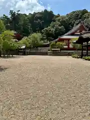 金剛寺(大阪府)