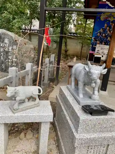 白峯神宮の狛犬