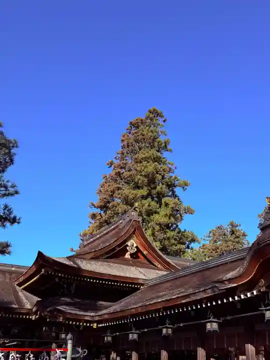 多賀大社(滋賀県)