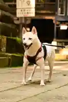 宝積山光前寺(長野県)