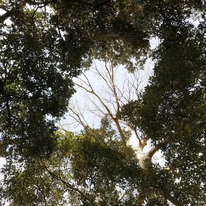 愛宕神社の自然