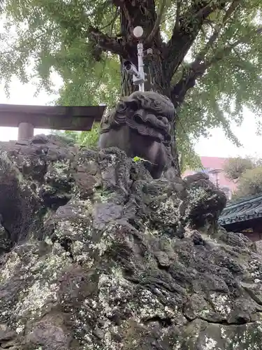 牛嶋神社の狛犬