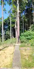 熊野神社の自然