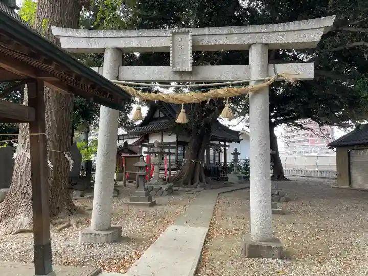 諏訪大神社 の{uncategorized: "未分類", other: "その他", undefined: "問題あり", building: "その他建物", grave: "お墓", sacred_gate: "鳥居", guardian: "狛犬", statue: "像", buddha: "仏像", history: "歴史", nature: "自然", garden: "庭園", animal: "動物", pagoda: "塔", temizu: "手水舎", mountain_gate: "山門・神門", sanctuary: "本殿・本堂", subordinate: "末社・摂社", art: "芸術", scenery: "景色", jizo: "地蔵", ema: "絵馬", goshuin: "御朱印", omikuji: "おみくじ", items: "授与品その他", amulet: "お守り", goshuincho: "御朱印帳", eats: "食事", festival: "お祭り", votive_dance: "神楽", shichigosan: "七五三参", wedding: "結婚式", experience: "体験その他", initially: "初詣", around: "周辺", anti_infection: "感染症対策"}