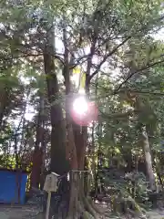 舟津神社(福井県)