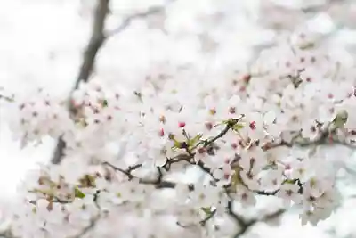 神谷稲荷明神社の自然