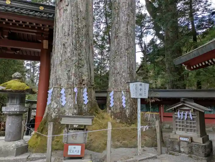 日光二荒山神社の{uncategorized: "未分類", other: "その他", undefined: "問題あり", building: "その他建物", grave: "お墓", sacred_gate: "鳥居", guardian: "狛犬", statue: "像", buddha: "仏像", history: "歴史", nature: "自然", garden: "庭園", animal: "動物", pagoda: "塔", temizu: "手水舎", mountain_gate: "山門・神門", sanctuary: "本殿・本堂", subordinate: "末社・摂社", art: "芸術", scenery: "景色", jizo: "地蔵", ema: "絵馬", goshuin: "御朱印", omikuji: "おみくじ", items: "授与品その他", amulet: "お守り", goshuincho: "御朱印帳", eats: "食事", festival: "お祭り", votive_dance: "神楽", shichigosan: "七五三参", wedding: "結婚式", experience: "体験その他", initially: "初詣", around: "周辺", anti_infection: "感染症対策"}
