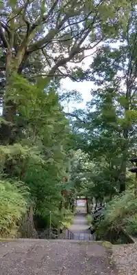 椎尾神社(大阪府)