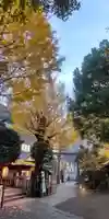 小野照崎神社(東京都)