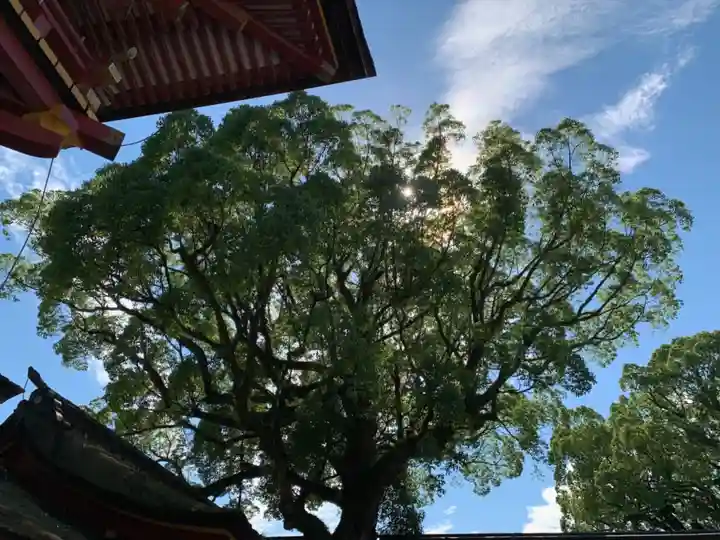 太宰府天満宮の自然