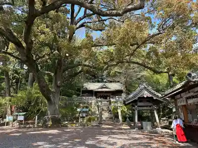 事任八幡宮(静岡県)
