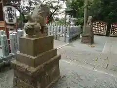 星川杉山神社の狛犬