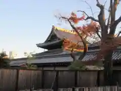 本願寺（西本願寺）(京都府)