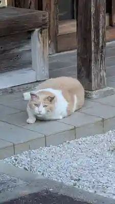 順照寺(滋賀県)