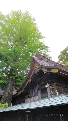 麻賀多神社の本殿・本堂