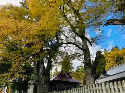 普光寺(新潟県)