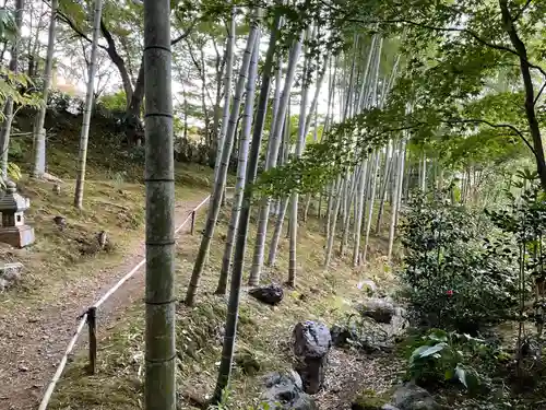 常寂光寺(京都府)