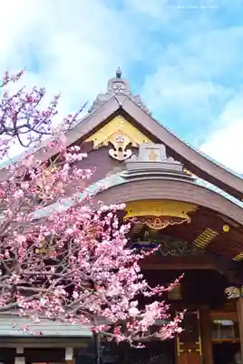 湯島天満宮(東京都)