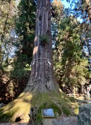 河口浅間神社(山梨県)
