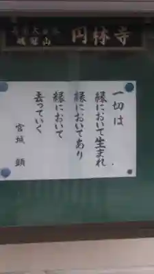 円林寺のその他建物