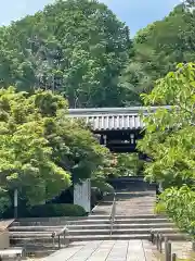 光明寺（粟生光明寺）の山門