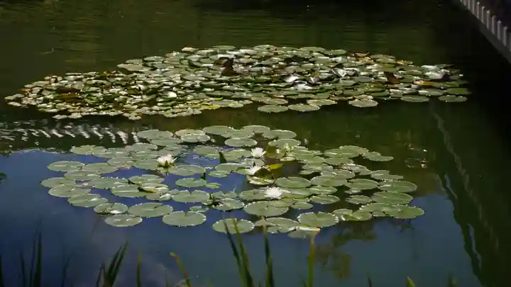 法華寺(奈良県)