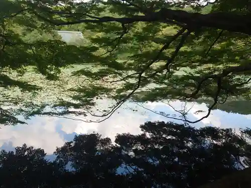 龍安寺(京都府)