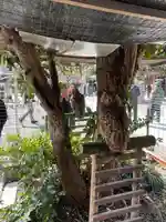 宮地嶽神社(福岡県)