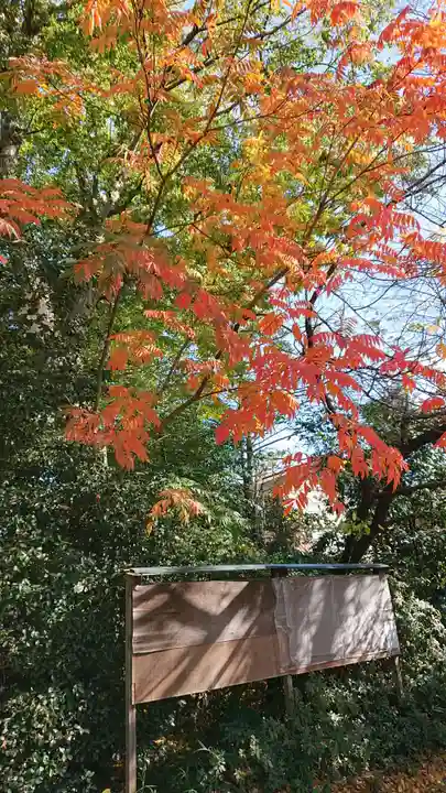 本太氷川神社の自然