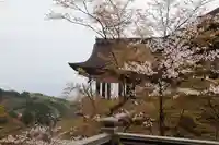 清水寺(京都府)
