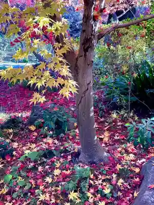本土寺(千葉県)
