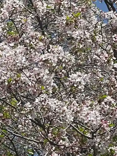 上小倉神社(和歌山県)