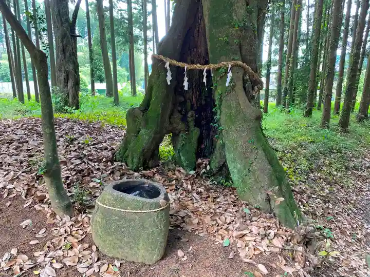 立野神社の手水舎