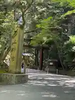 石上神宮(奈良県)