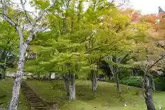 土津神社｜こどもと出世の神さまの自然