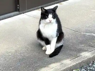 弁天様と山の神(三重県)