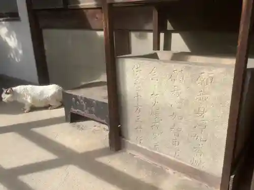 遍照院（念宗寺）の動物