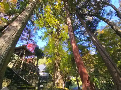 長安寺(京都府)