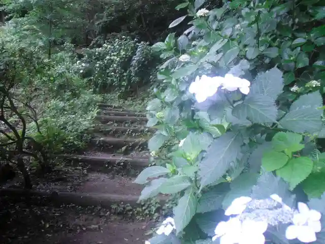 安國論寺(安国論寺)の自然