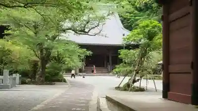 妙本寺の本殿・本堂
