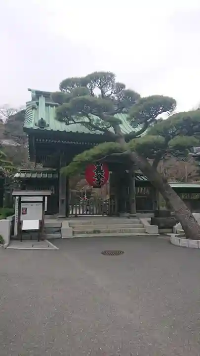 長谷寺の山門・神門
