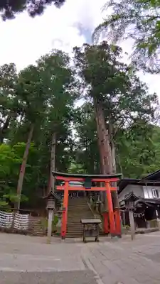 日枝神社の鳥居