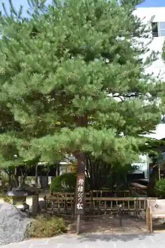 四柱神社の自然