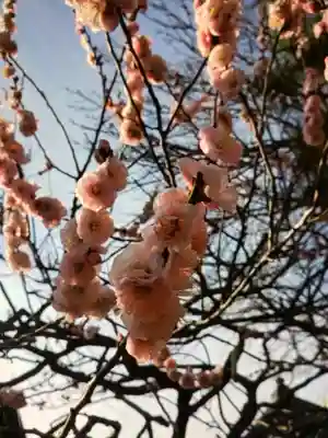 圓照寺(東京都)